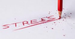 Jak se zbavit stresu? Zkuste tyto osvědčené tipy. - 222756 - Stres a jak se ho zbavit