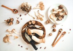 Vitální houby a tradiční čínská medicína